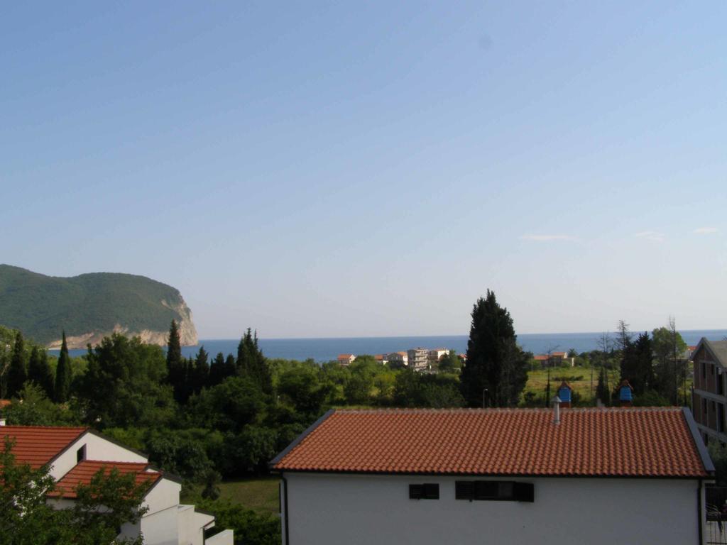 Hotel Wellness & Spa Angelo Gabriel Petrovac Ruang foto