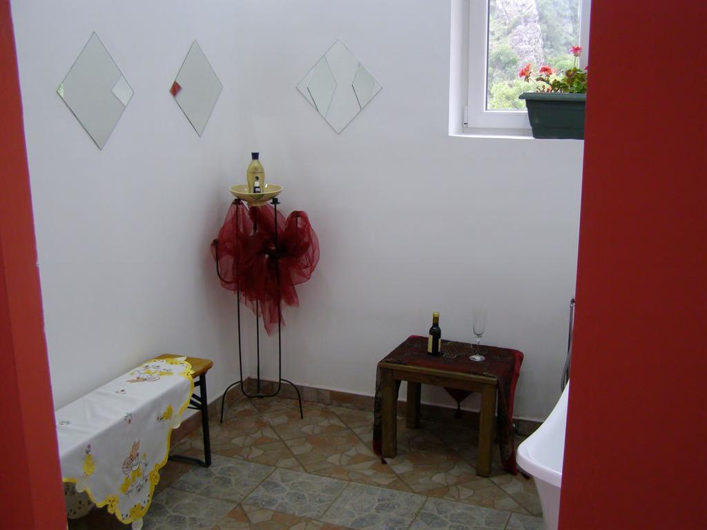 Hotel Wellness & Spa Angelo Gabriel Petrovac Bagian luar foto