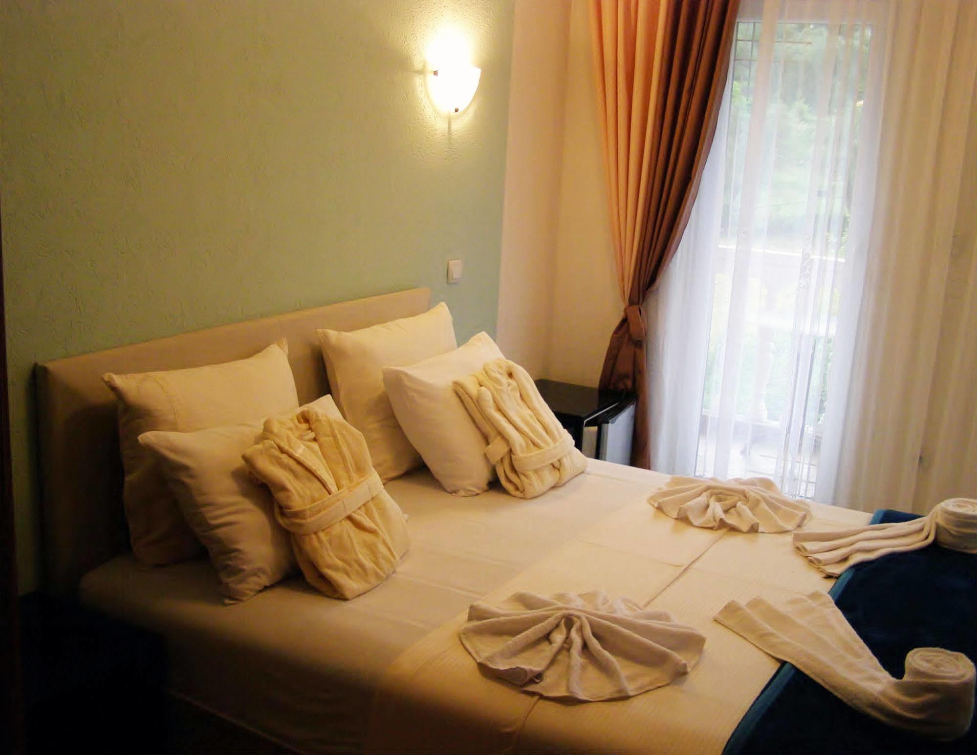 Hotel Wellness & Spa Angelo Gabriel Petrovac Bagian luar foto